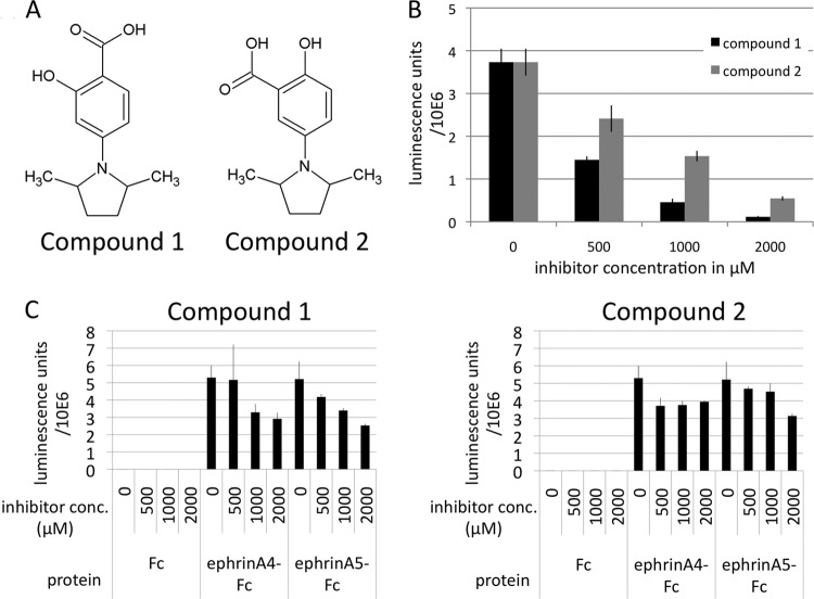 FIG 3