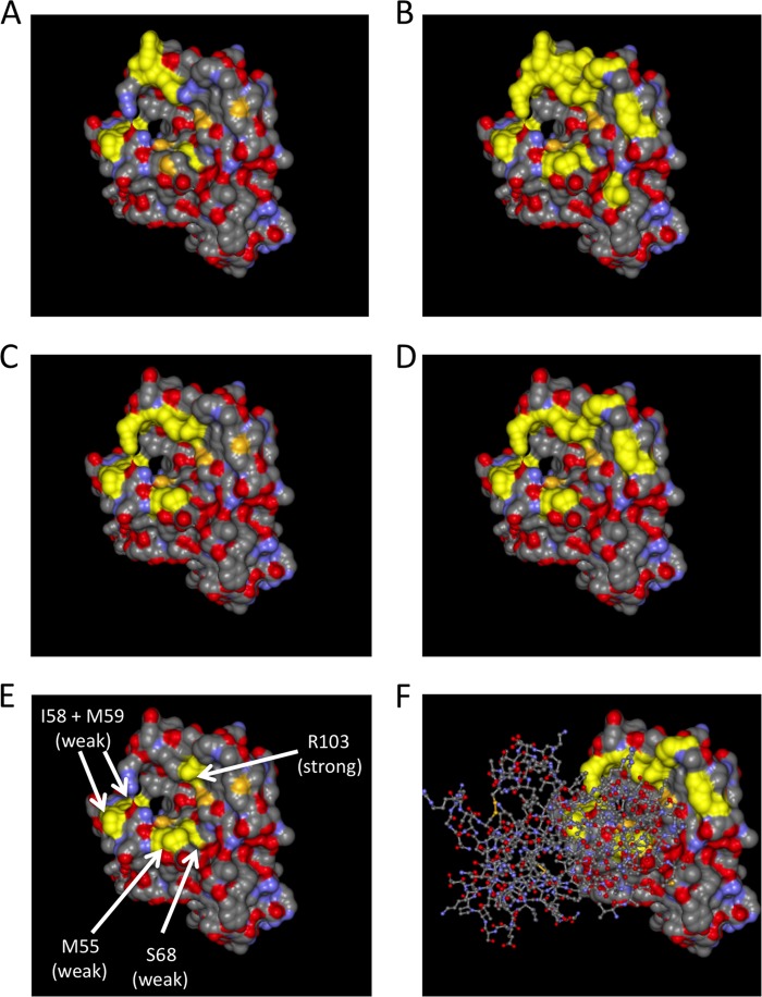 FIG 6