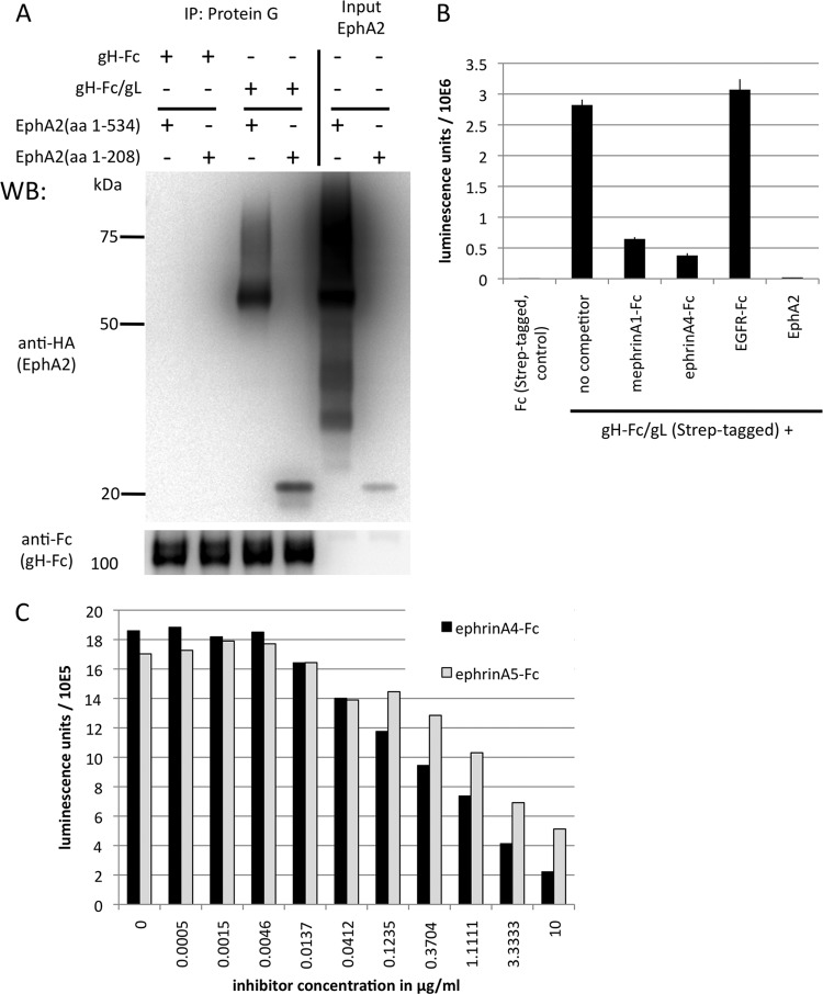 FIG 2