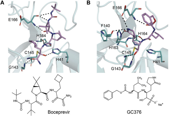 FIGURE 11