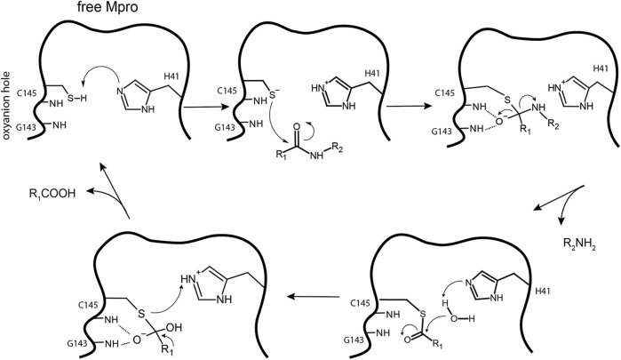 FIGURE 10