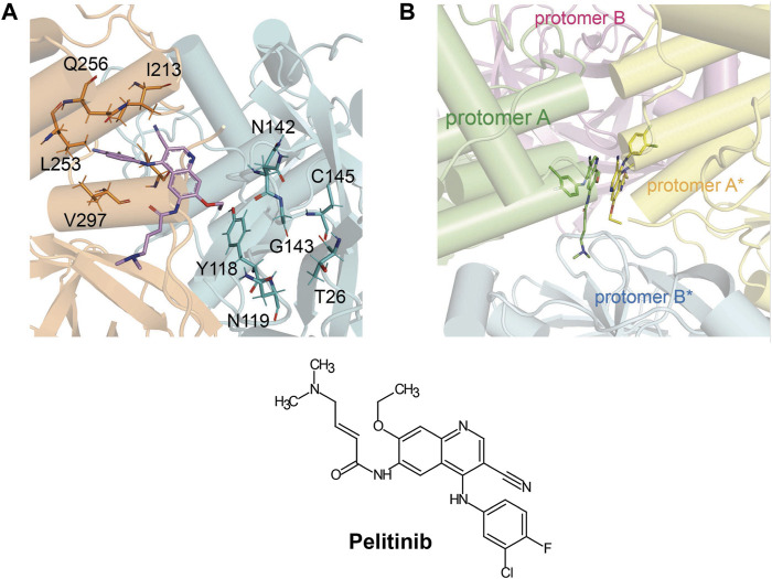 FIGURE 14