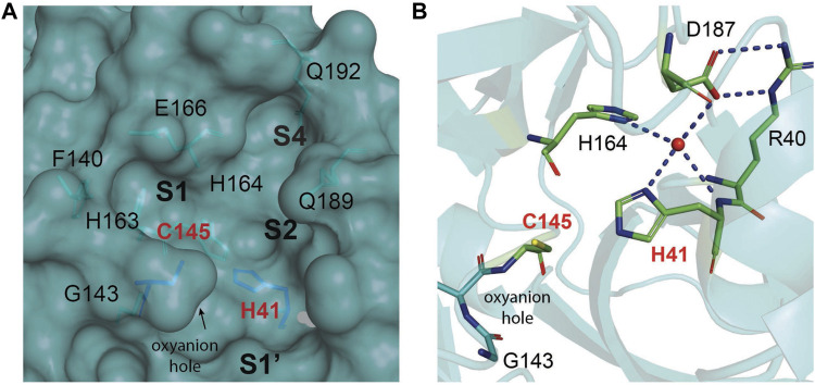 FIGURE 9