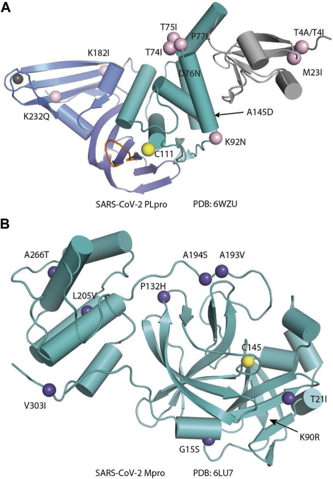 FIGURE 16