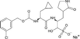 graphic file with name fchem-09-819165-fx42.jpg