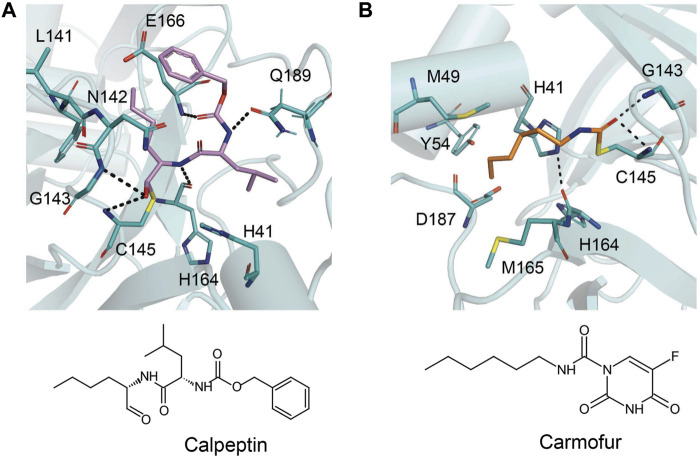 FIGURE 13