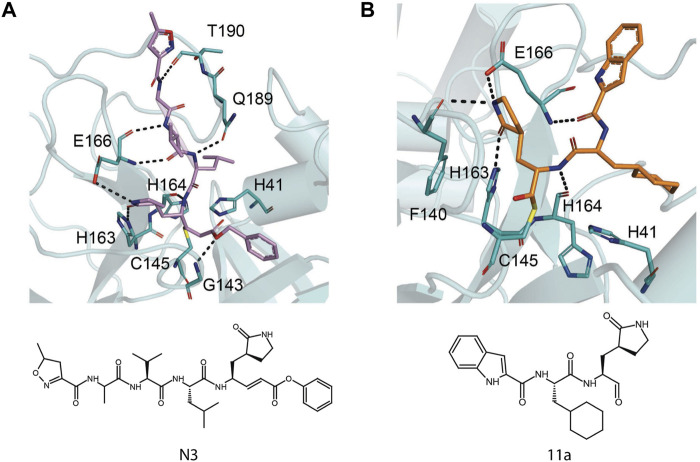 FIGURE 12