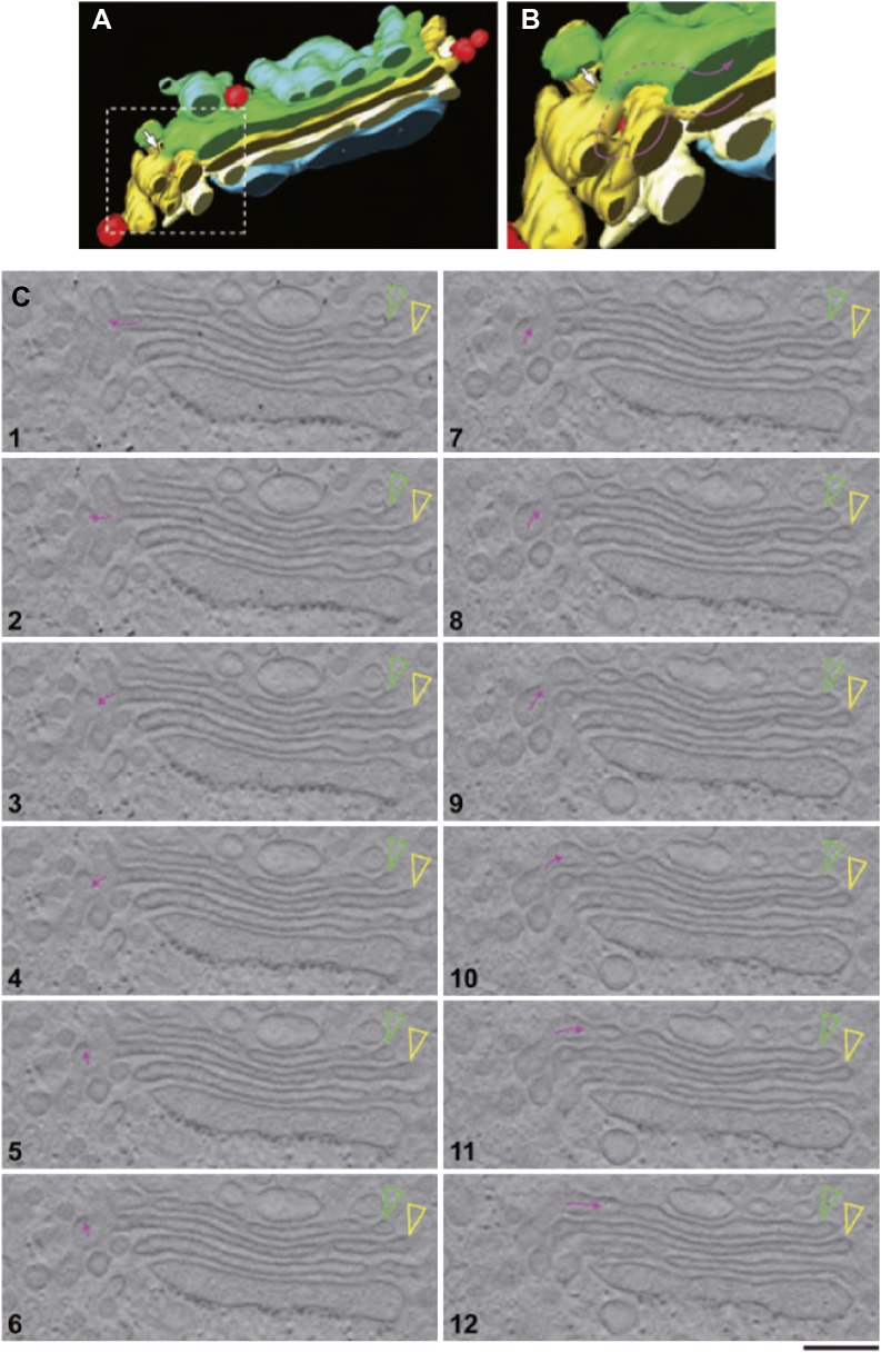 Figure 4.