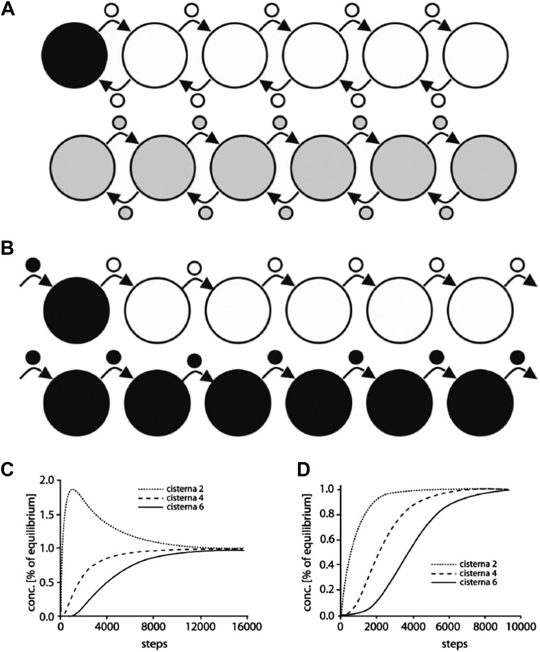 Figure 6—figure supplement 1.