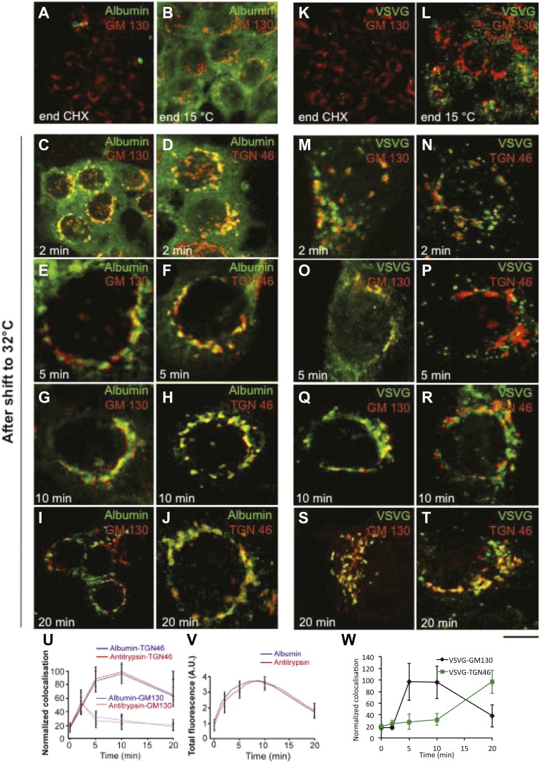 Figure 1—figure supplement 1.