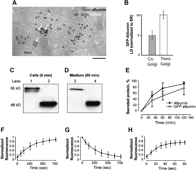 Figure 3—figure supplement 1.