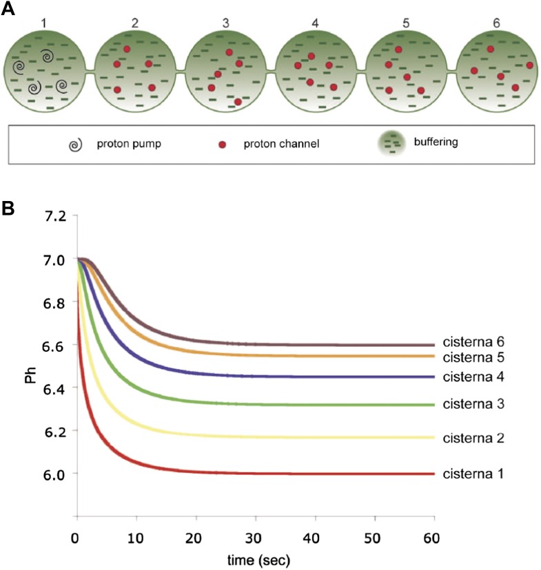 Figure 6—figure supplement 2.