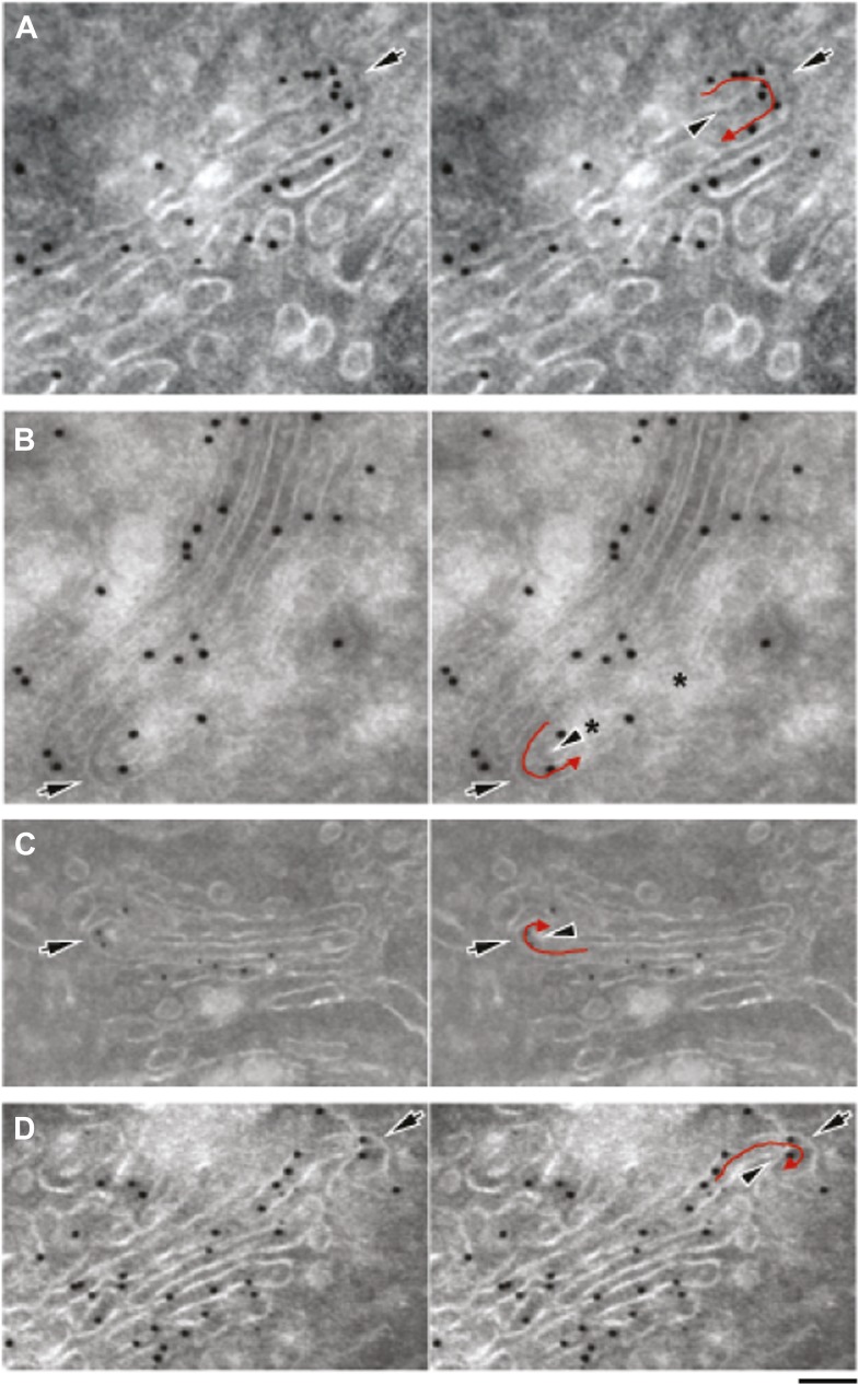 Figure 5—figure supplement 2.