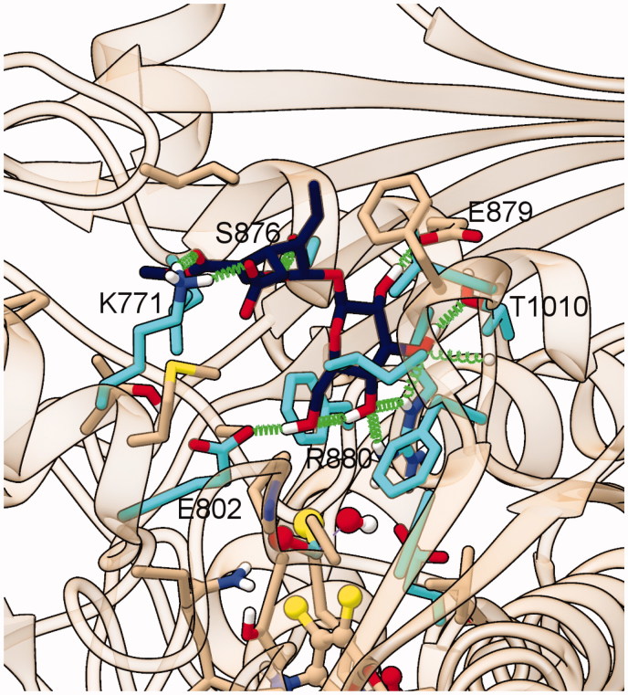 Figure 7.