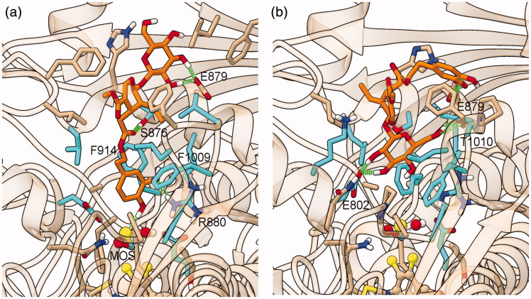 Figure 6.