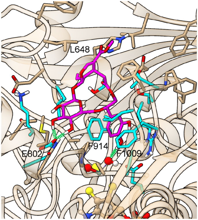 Figure 4.