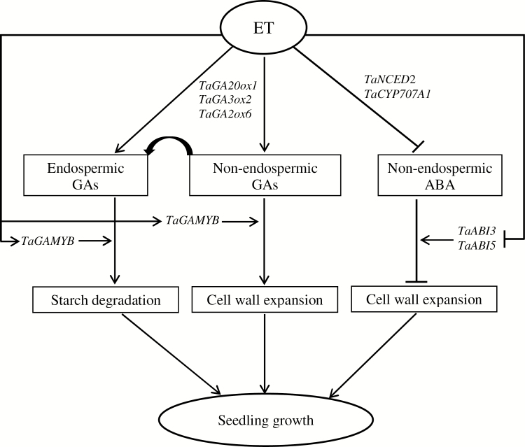 Fig. 14.