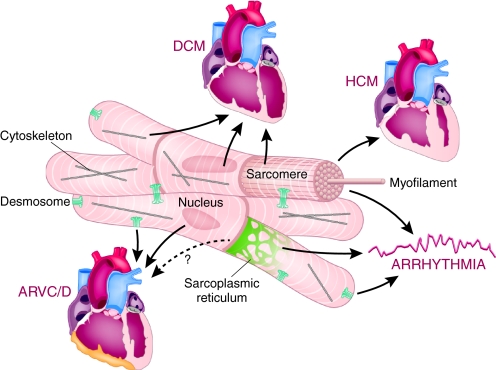 Fig. 1.