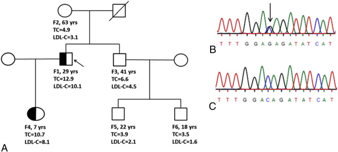 Fig. 1