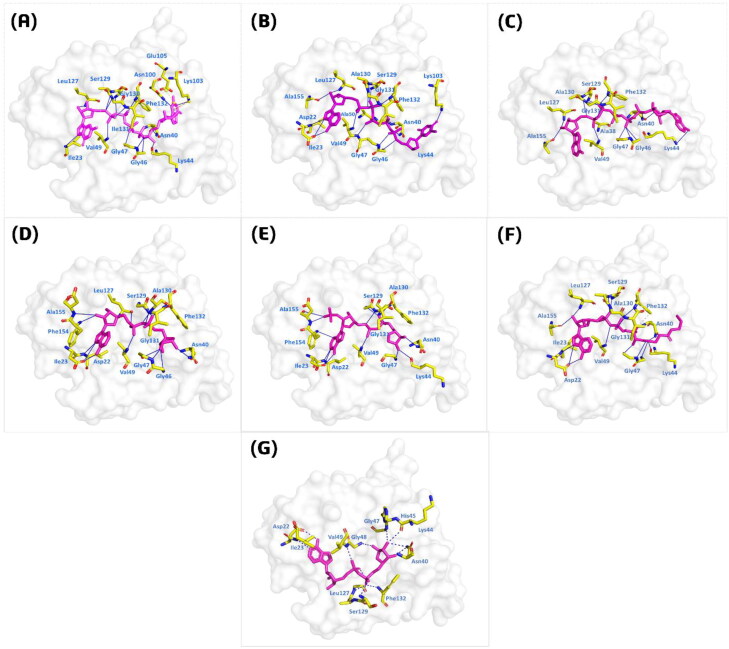 Figure 3.