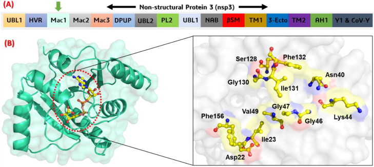 Figure 2.