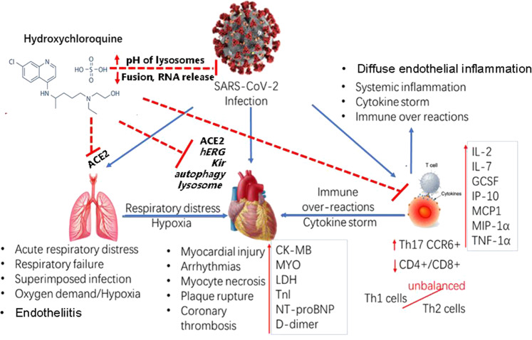 Fig. 2