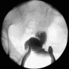 <i>Figure 1</i>