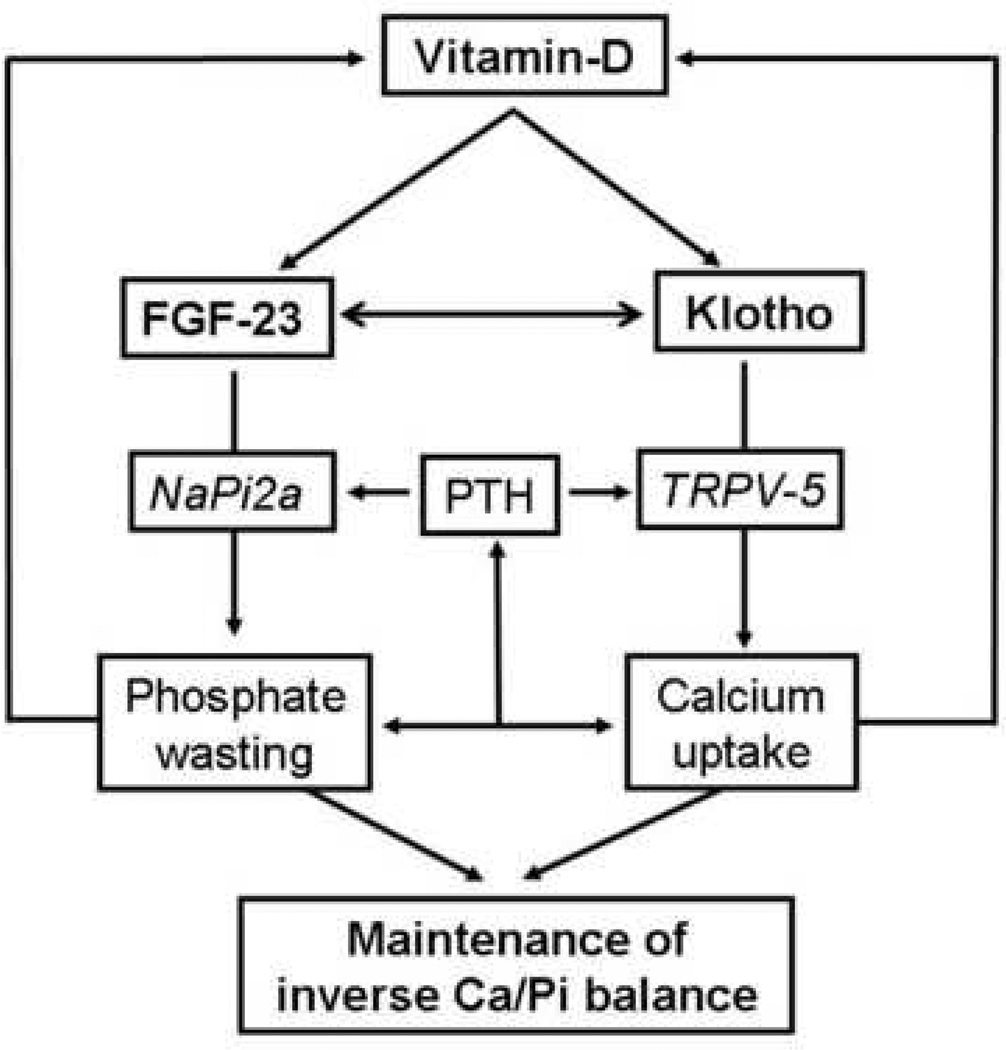 Figure-2