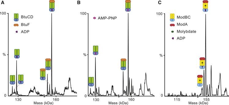 Figure 3