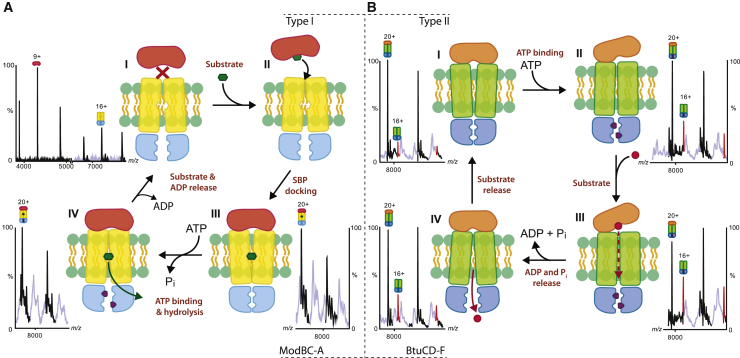 Figure 4