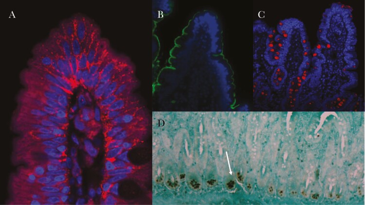 Figure 3.