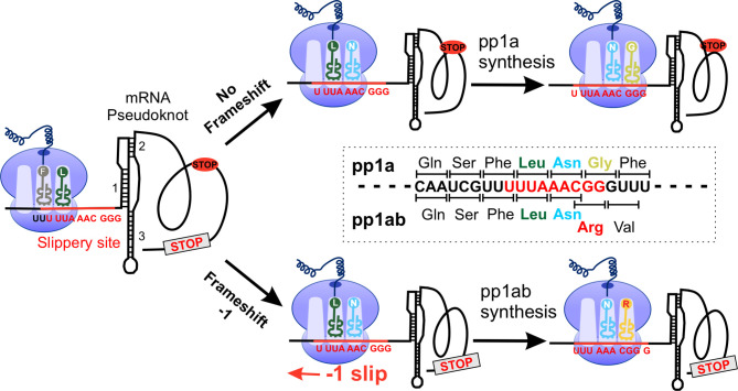 Figure 2