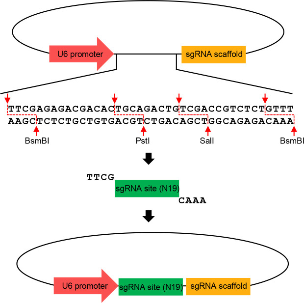 Figure 4.