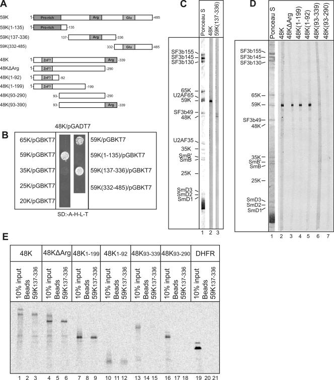 FIG. 7.