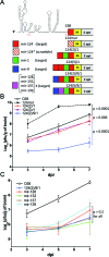 Figure 10.