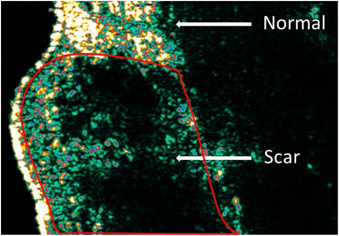 Fig. 3