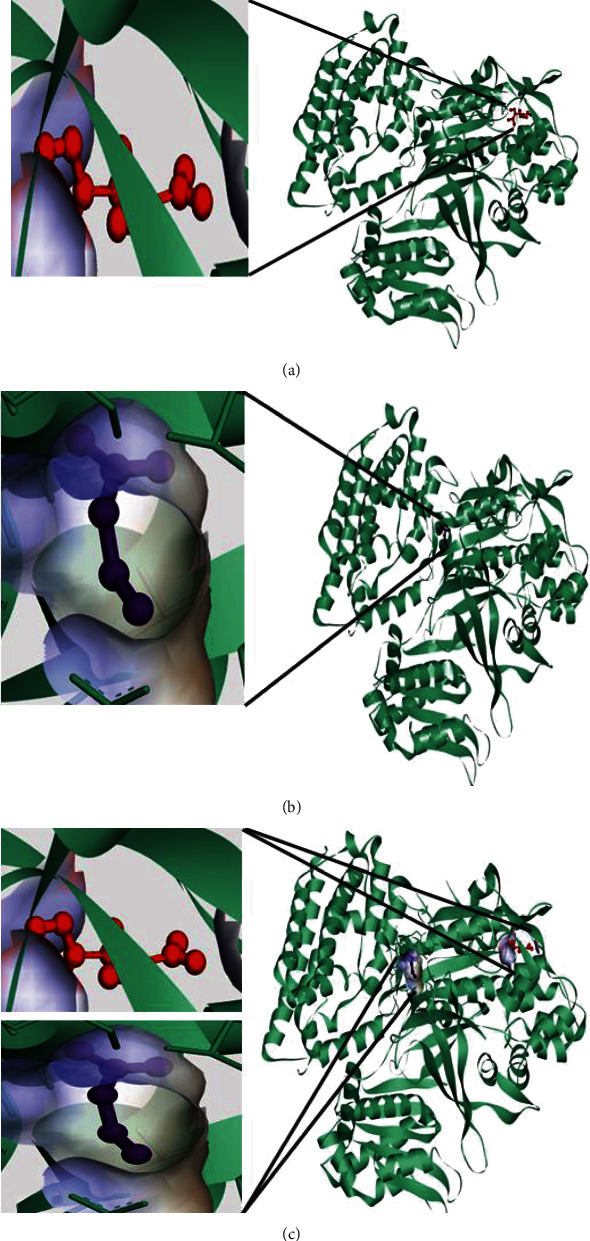 Figure 13