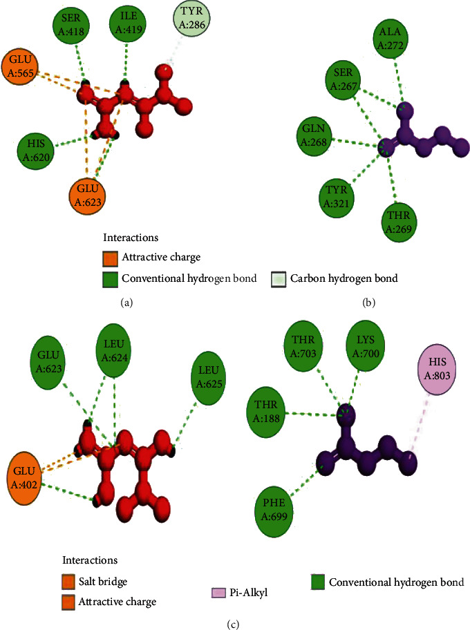 Figure 17