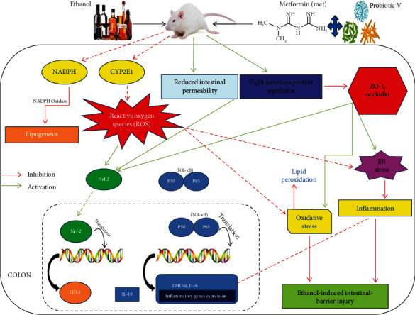 Figure 20