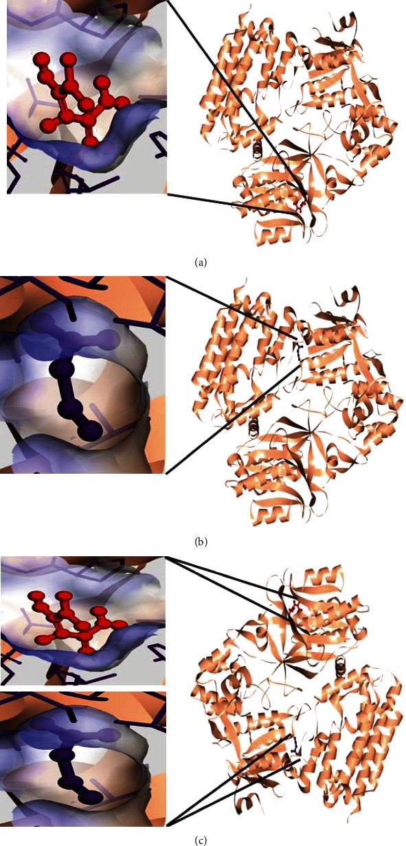 Figure 15