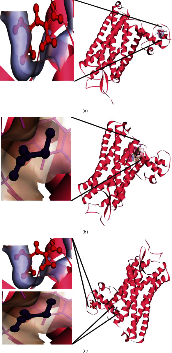 Figure 14