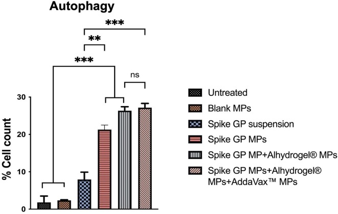 Fig. 7