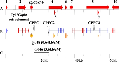 Figure 5.