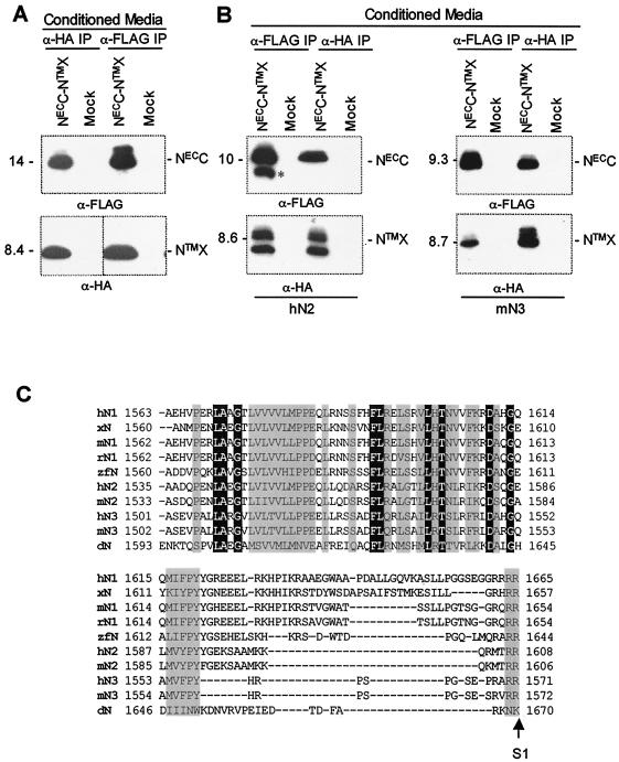 FIG. 3.