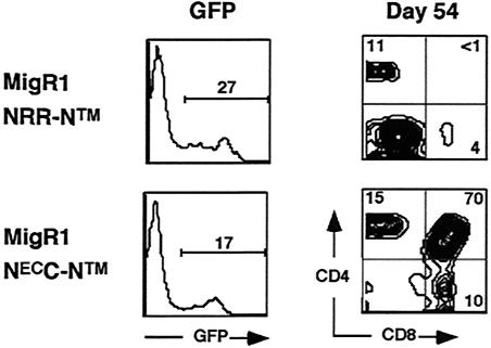 FIG. 7.