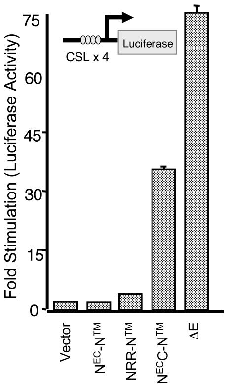 FIG. 5.