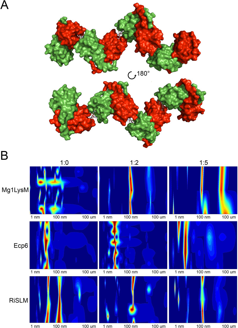 Fig 6