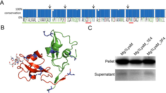 Fig 4