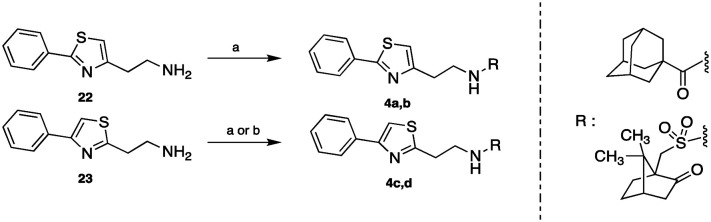 Scheme 5