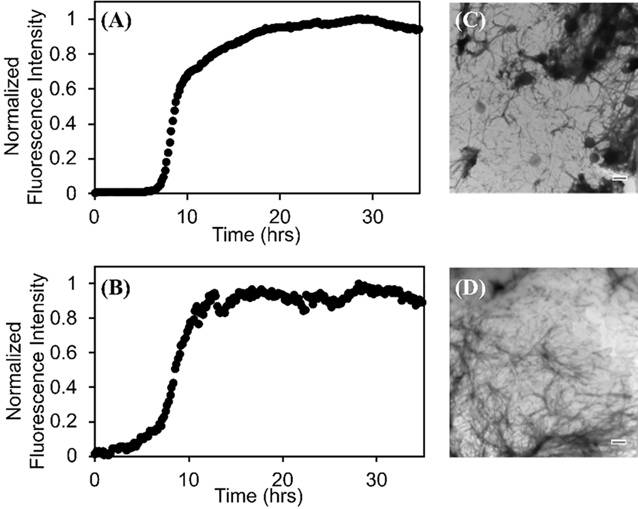 Figure-3: